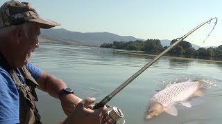 Pecanje šarana na Dunavu  Boško Šunjkic  Majstor za šarane  Fishing carp [upl. by Jade]