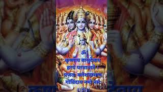 🪷कृष्ण मूल मंत्र कृष्ण अष्टाक्षर मंत्र📿Krishna Moola MantraKrishna Ashtakshara Mantra”🦚🙏 [upl. by Younger]