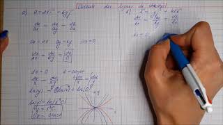 Exercice 25 Calcul des lignes de champ  8 [upl. by Llednyl]