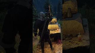 Interesting Hidden Details In The Witcher 3 [upl. by Lesli376]