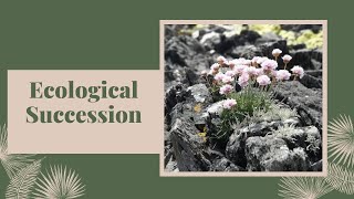 018 Ecological Succession Primary and Secondary Succession Ecology EcologicalSuccession [upl. by Llennaj365]