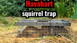 Havahart Squirrel trap [upl. by Nitsirhc]