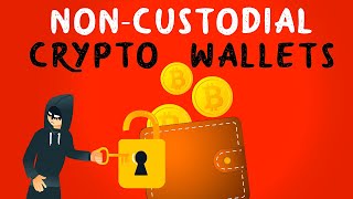 Noncustodial Wallet Why Do You Need It Right NOW Animated [upl. by Aitak]