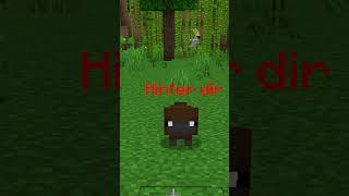 PERRY das Schnabeltier in Minecraft shorts minecraft [upl. by Yelrah94]