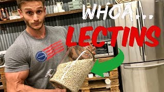 Gut Health  Are Lectins Bad  Lectins Equal Unhealthy Carbs  Nutrient Absorption Thomas DeLauer [upl. by Maximilianus]