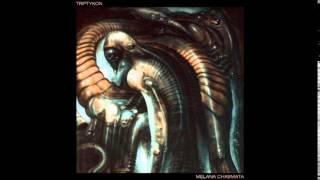 Triptykon  quotInto Despairquot quotMelana Chasmataquot japanese bonus track [upl. by Kahle]