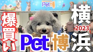 【Pet博2023横浜】大混雑の横浜ペット博に大阪から愛犬トルテと行ってきたよ！視聴者さんにも会えてビックリ🐶💕inパシフィコ横浜【前編】（トイプードルのTorte channel [upl. by Rego345]