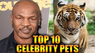 Top 10 Celebrity Pets You Won’t Believe Exist [upl. by Nalon]