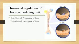 Hormones regulating plasma calcium level Parathormone Calcitonin and Vitamin D [upl. by Nahsor]