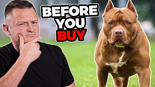 Is the PIT BULL Right For You [upl. by Douglas49]