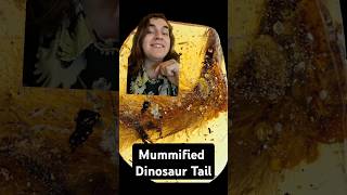 Mummified Dinosaur Tail todayilearned biology science paleontology fyp [upl. by Sheri]