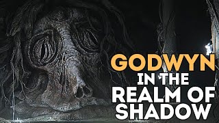 Why is Godwyn in The Realm of Shadow [upl. by Vokaay]