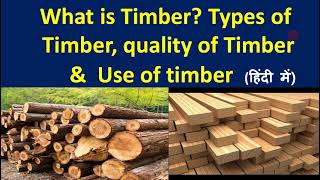 Timber  Types of Timber  quality of Timber  Use of timber  Timber making process  wood making [upl. by Eileek]