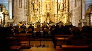 La Baturrica  Rondalla Escuela de Jota de Mallén [upl. by Atahs]