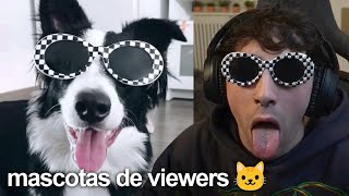 las mascotas de mis viewers 2 😛 [upl. by Ahseinet]