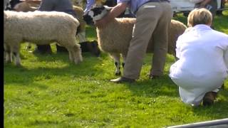 Westmorland County Show 2014 [upl. by Adnana]