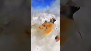 The cheering was on point best extremesport snow snowboardfails [upl. by Mutua229]