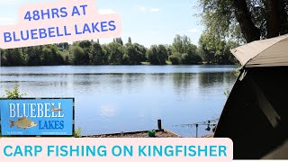 CARP FISHING AT BLUEBELL LAKES carpfishing carpfishing2024 fishing bluebell [upl. by Trina]