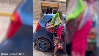 Alpaca Climbs Into Taxis in Peru [upl. by Aniv447]