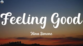 Nina Simone  Feeling Good Lyrics [upl. by Anelrahc]