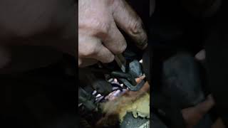 2000  2004 Volvo V70 T5 Turbo Oil Return Line Removal [upl. by Annonyw]