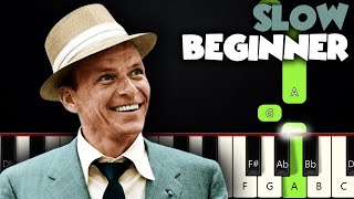 My Way  Frank Sinatra  SLOW BEGINNER PIANO TUTORIAL  SHEET MUSIC by Betacustic [upl. by Rubbico]