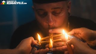 Reefers  I Get High Official Video 2020 [upl. by Atalee]