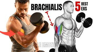 5 BEST BRACHIALIS WORKOUT AT GYM TO GET BIGGER ARMS FAST [upl. by Yettie]