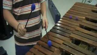 Through the Fire and Flames Marimba SCHS Band [upl. by Cutlerr]