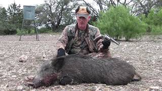 HANDGUN HUNTING  Redhawk Texas Hog [upl. by Garrott]