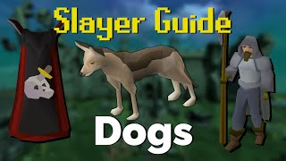 Dog Slayer Quick Guide OSRS [upl. by Scornik432]