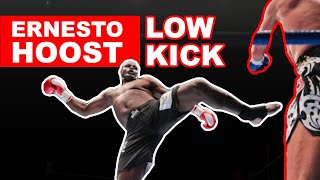 3 Ernesto Hoost Low Kick Techniques [upl. by Nevaeh]