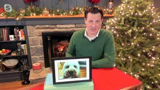 Skylight 10quot Touch Screen PhotoVideo Frame with Email Sending on QVC [upl. by Eiramrebma702]