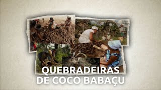 Dia das Quebradeiras de Coco Babaçu [upl. by Queridas]