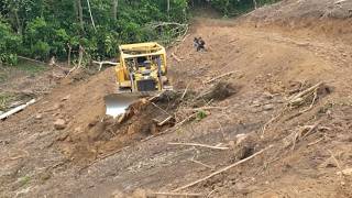 The Quick Way the Bulldozer D6R XL Carves a Stunning Palm Tree Terrace [upl. by Anailil]