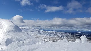 Skiing side country at Big White [upl. by Atikam]