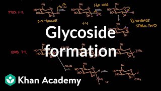 Carbohydrate  Glycoside formation hydrolysis  Chemical processes  MCAT  Khan Academy [upl. by Stefa]