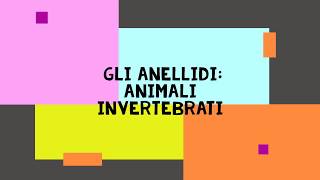 GLI ANELLIDI  ANIMALI INVERTEBRATI [upl. by Aymik475]