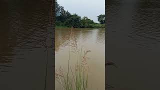 mahendratanaya river pathapatnam parlakhemudi [upl. by Krishnah]