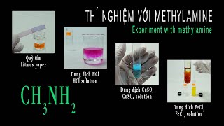 Thí nghiệm với methylamine CH3NH2  Quỳ tím CH3NH2  HCl CH3NH2  CuSO4 CH3NH2  FeCl3 [upl. by Alikee368]