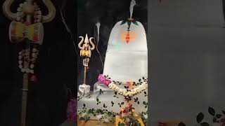 Hara Hara Mahadev 🙏💥 mahadev shiva status story shortsvideo [upl. by Frisse675]