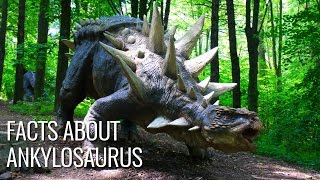 Interesting Facts About Ankylosaurus [upl. by Sieber585]