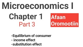 Equilibriums of consumer Microeconomics I Chapter 1 part 3 Fortino Academics [upl. by Sorrows]