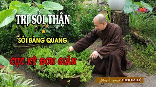 TRỊ SỎI THẬN  SỎI BÀNG QUANG sỏi ở đường tiết niệu Cực Kỳ Đơn Giản và hiệu quả  CHÙA PHÁP TẠNG [upl. by Amihc]