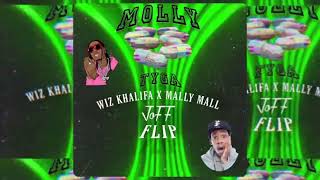 Molly  JoFF Flip Tyga Ft Wiz Khalifa X Mally Mall OUT NOW [upl. by Iaverne]