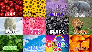 Colors Song  We Love all the ColorsNursery Rhymes amp Kids Songs ColorsLearning Video for Children [upl. by Thema]