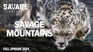 WILD MOUNTAINS  Extreme Survival in the Majestic Mountains  Animal Documentary [upl. by Elorac591]