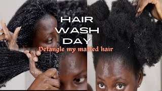 4C Hair Wash Day HOW I DETANGLE AND MOISTURIZE MY MATTED HAIR [upl. by Faith]