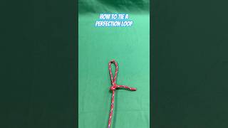 How to Tie a Perfection Loop [upl. by Evy]