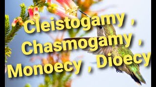 Mode of pollination ।। Self amp Cross Pollination ।। Cleistogamy  Chasmogamy  Monoecy Dioecy [upl. by Yrhcaz]